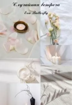 Случайная встреча