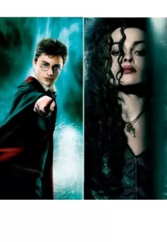 Смерть Беллатрикс