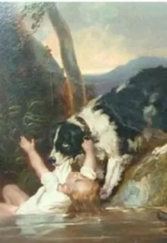 Собака для бессмертия