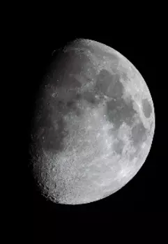 Собака на Луне