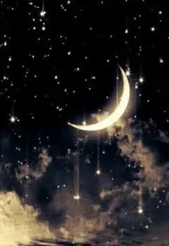 Собиратель звездной пыли