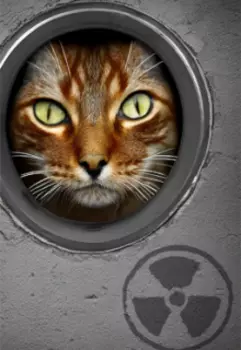 Социоформист