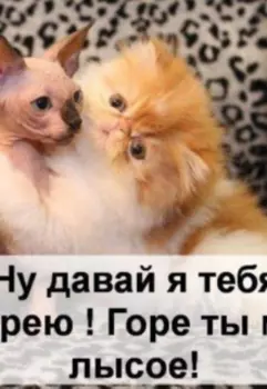 Согрей. ( Стихи 2024 года.)