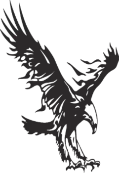 Сокол. Из другого мира