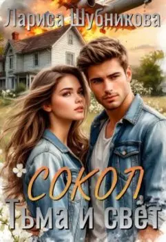 Сокол. Тьма и Свет