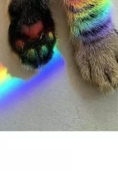 Сонька - золотые лапки