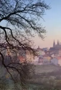 Сон второй. Река.