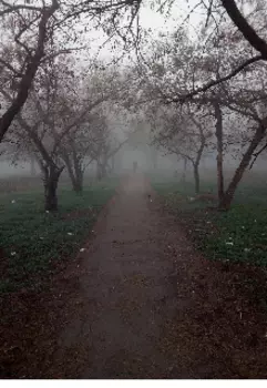 Состояние Анабиоза