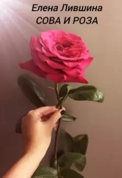 Сова и Роза