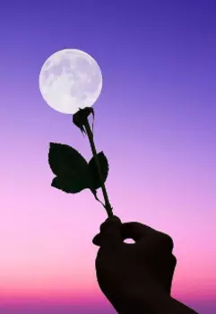 Современная Барби