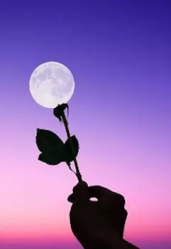 Современная Барби