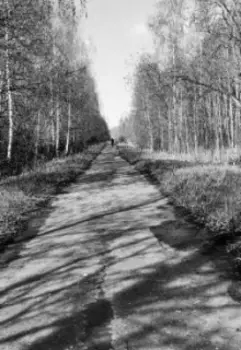 Средство, которое делает супергероем