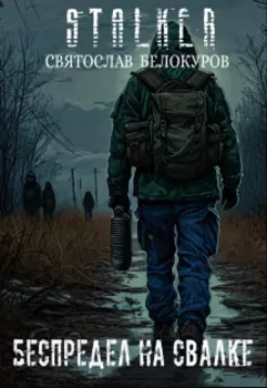 Сталкер Беспредел на Свалке Stalker