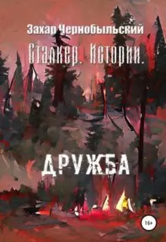 Сталкер. Истории. Дружба