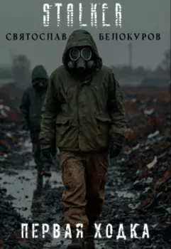 Сталкер Первая ходка Stalker