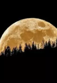 Старые счеты