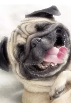 Стихи для детей