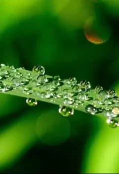 Стихи о жизни и любви