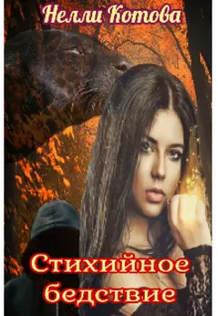 Стихийное бедствие