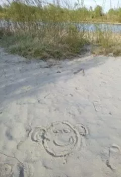 Стихотерика