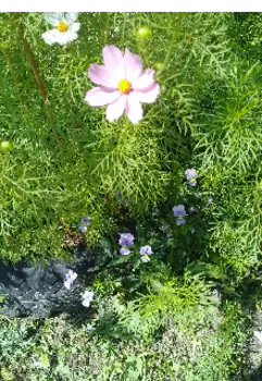 Стихотворения