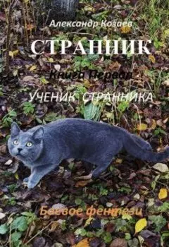 Странник Книга первая Ученик Странника