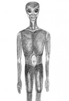 Странный друг