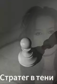 Стратег в тени