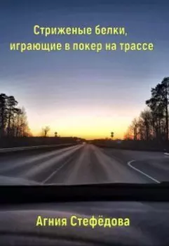 Стриженые белки, играющие в покер на трассе