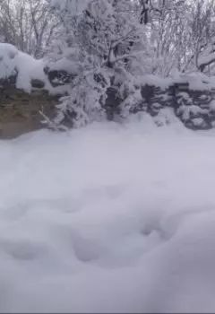 Студенческая байка.