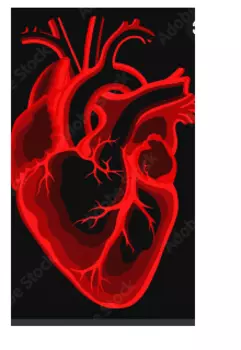 Стук (не) моего сердца.