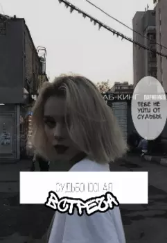 Судьбоносная встреча