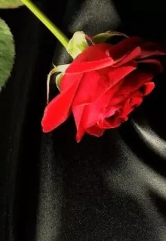 Сверхъестественно