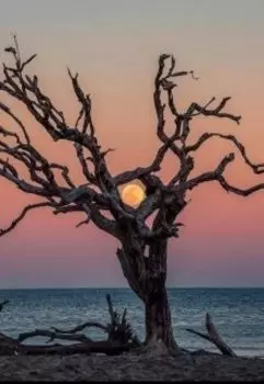 Сверкающие глаза