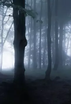 Свет из темноты