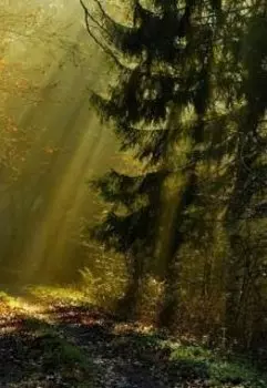 Сынок, главное - не бояться!