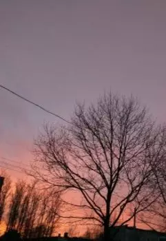 Та самая любовь