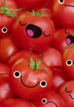 Таинственное исчезновение