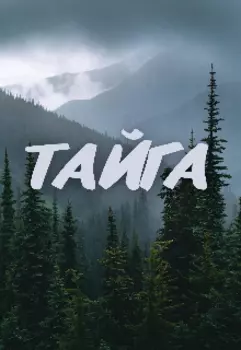Тайга