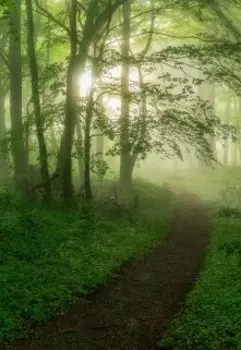 Тайная тропа.