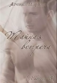 Тайная встреча - серия Хадсоны (книга 3)