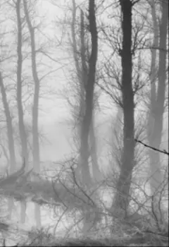 Тайное зеркало