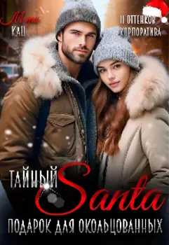 Тайный Санта. Подарок для окольцованных