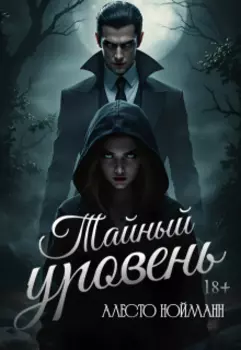 Тайный уровень