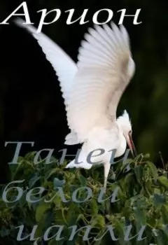 Танец белой цапли