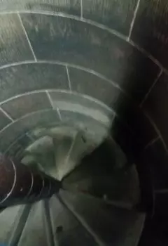 Таро Немезиды (сумеречный мир 1)