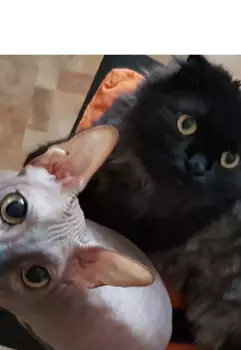 Темная ведьма-не значит злая. Или значит!