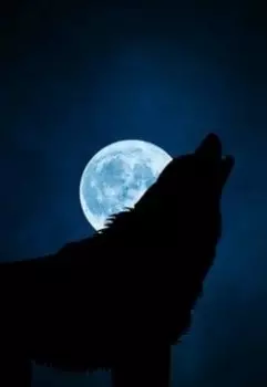 Темные желания