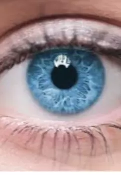 Темный Мир. Взгляд палача