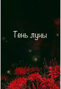 Тень Луны